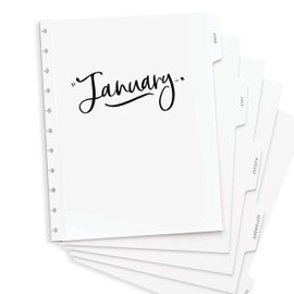 BetterNote Dividers for Discbound Notebook, Monthly Discbound Index Tabs for Calendar, Fits Disc Notebook, Levenger Circa, Arc, Happy Planner, TUL by Office Depot, Talia (Whimsy, 11-Disc, 8.5"x11")