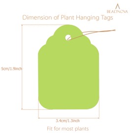 BEADNOVA Plant Hanging Tags 100pcs Tags with String Reusable Plant Labels Markers Plastic Garden Signs Garden Markers for Outdoor (2 Inch, Light Green)