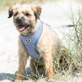 HUGO & HUDSON Fabric Vest Dog Harness - Adjustable Rear Buckle No Choke Harnesses for Training and Walking - Comfortable Soft Padding - Navy Striped - XS