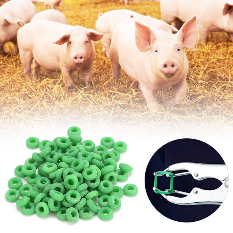 100Pcs Rubber Elastic Sheep Cow Pig Castration Pliers Rings Veterinary