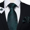 DiBanGu Paisley Mens Tie Set Black Green Tie Silk Woven