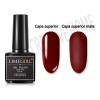 Geles Semipermanente Esmaltes Uñas (kit 24 Pzs Color Gelesh)