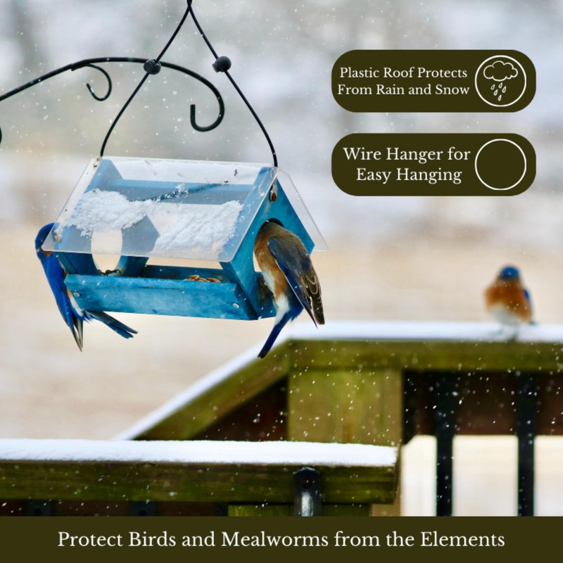 Backyard Essentials Petite Bluebird Feeder with Plexiglass Roof and Powder