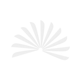 4 Inch Archery Fletches Plastic TPU Fletching Vanes Feathers Vane DIY for Archery Arrows Carbon Arrow Hunting Target Shooting - Pack of 50