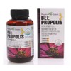palm green Bee Propolis 1000mg / 비 프로폴리스 1000mgX90캡슐 3개월분