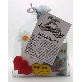 cleverlittlegifts 25th Silver Wedding Anniversary SURVIVAL KIT Novelty Gift Idea Fun Present (25th, Silver)