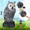 Qualirey 5 Pcs Fake Rubber Snake and Owl Set Includes