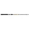 Ugly Stik Bigwater Spinning Fishing Rod