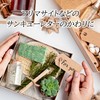 [andwit] Stickers Made in Japan, Just Feeling Gift Wrapping, 1.2