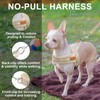 BEAUTYZOO Dog Harness for Small Dogs, No Pull Dog Harness