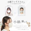 GINZA STYLE Mask, Small, 3D Mask, Non-Woven Fabric, 3D, Made