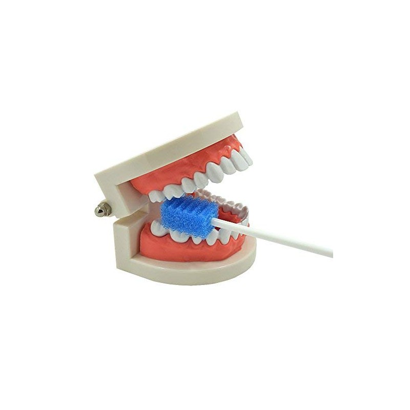 Oral Care Swabs Disposable- Blue 100 Counts