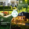 Solar Torch Lights,96LED Flickering Flame,43Inch IP65 Waterproof 4Pack