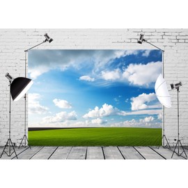 Loccor Fabric 8x6ft Blue Sky Backdrop Meadow Green Grass Blue Sky Clouds Photography Background Outdoor Nature Scenery Easter Decoration Kid Baby Adult Boy Girl Artistic Portrait Photo Studio Props