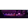 newlineperformanceLED Pink LED Climate Control AC Heater Bulbs for Honda