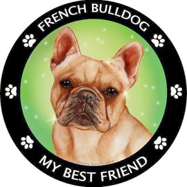 Fashion Jewelry Limited FRENCH BULLDOG PET DOG ANIMAL Pendant 925 Sterling Silver 22" Chain