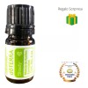 Doterra Steady (grounding Blend) 5ml Doterra