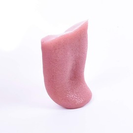 Magic: Real Tan, Scary Tongue, Ultra Realistic, Fake Item, Close-Up Magic Tool, Instruction Manual Included