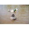 MOJO Outdoors Flock A Flicker 2 - Premium Waterfowl and