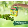 Yerba Mate Campesino 500gr Limón y Menta