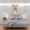 Placa botánica de Ashwagandha – Withania Somnifera 30x45 cm, impresión