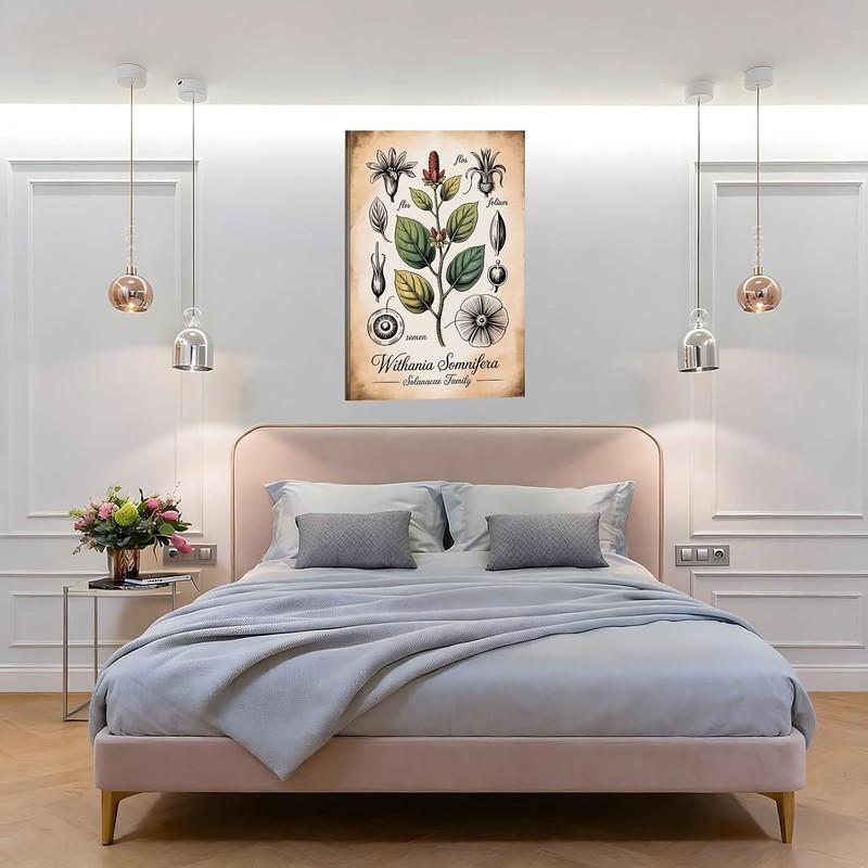 Placa botánica de Ashwagandha – Withania Somnifera 30x45 cm, impresión