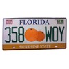 OPO 10 - USA Car License Plate - Metal Replica