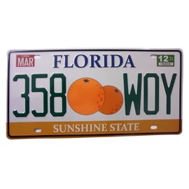 OPO 10 - USA Car License Plate - Metal Replica Florida (87)