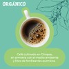 1968 | Café 1968 Orgánico en Grano 340g |Origen Chiapas