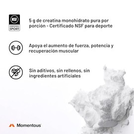 Momentous - Polvo de monohidrato de creatina - Polvo de creatina Creapure - Apoya la fuerza, el músculo magro y la recuperación para hombres y mujeres