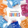 NaturesPlus Gummies Vitamin D3 1000 mg - Delicious Vitamin D3