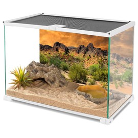 YongFoto Polyester Mexican Desert Sand Land Photography Background Desert View Cactus Green Bush Shrub Rocky Photo Backdrop 36x14 inches Dragon Tank Reptile Habitat Background Poster