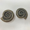 Antique Bronze Sea-Life Marine Nautical Drawer Knobs, Bathroom, Cupboards, Dresser