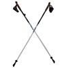LEKI Nordic Walking Amero Carbon Series Walking Poles White/Black 115cm