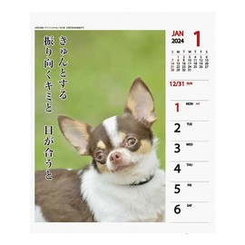 2024 Chihuahua Senryu (Weekly Turning) Calendar No. 027