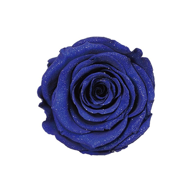 Tokyodo DD001107-061 Preserved Flower Diamond Rose (3 Wheels)