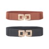 2 Pieces Simple Belts, Wide Belts For Women, Elastic Belts,