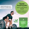 Der Hanfbayer Der Hanfbayer? regionale Hanfsamen gesch?lt Bio 1kg [PROTEINREICHES