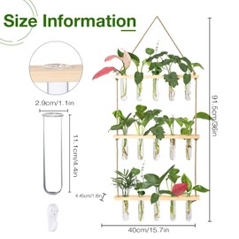 XXXFLOWER Wall Hanging Propagation Station with Wooden Stand 5 Glass Test Tubes 3 Tiers Planters Wall Terrarium for Home Office Plant Hanger Flower Vases Wall Decor Hydroponic Cuttings