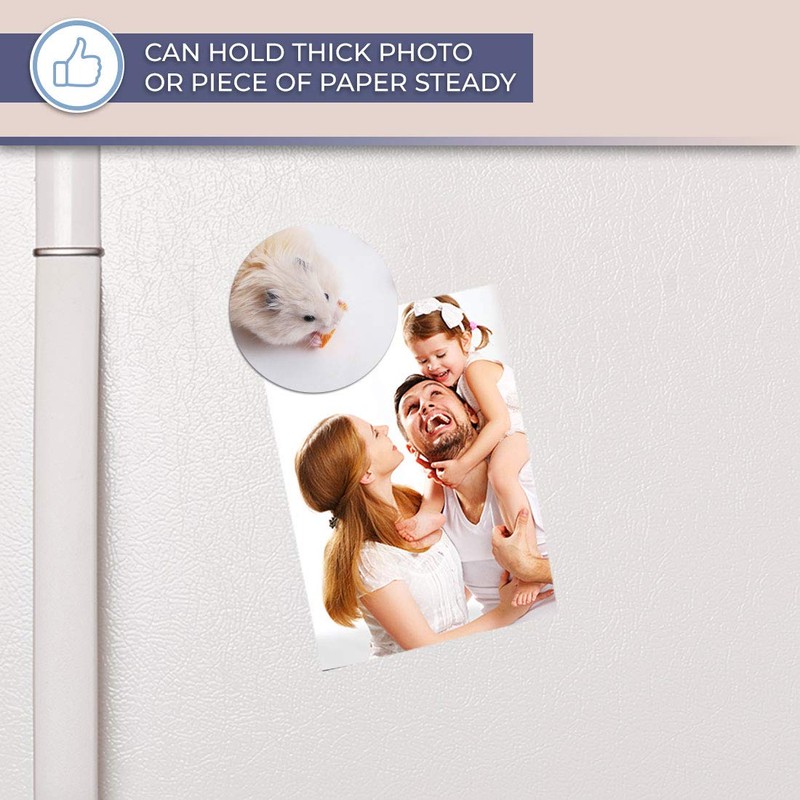 Destination Vinyl ltd Magnet for Refrigerator, Fridge - Cute Hamster