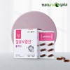 철분 엽산 임산부 수유부 청소년 철분제 60캡슐 2개월 Iron Folic