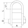 MarineNow 316 Stainless Steel Captive Key Pin Halyard D-Shackle with