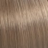 Color Touch Rich Naturals 9/16 light blonde Ash purple 60
