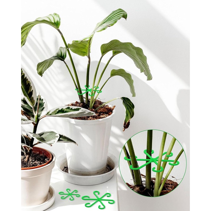 LOZTBUE 4 Piece Plant Stand, Plastic Stem Holder for Climbing
