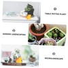 NOLITOY Adorable Tiny Figurines Bulk Set Mini Dragon Crafts for