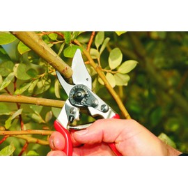 Felco F-6 Classic Pruner For Smaller Hands - 100052385 (Renewed)