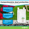 Tandem Insecticide – Dual Defense Insecticide with iCAP Technology™ for