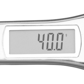 Rosenstein & Söhne Digital Spoon Scales for Powder and Spices up to 300 g LCD Display