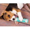 1to3Shop Interactive Pet Dog Bone Chew Toy Oral Toothbrush for