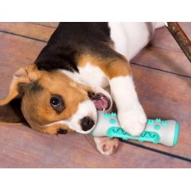 1to3Shop Interactive Pet Dog Bone Chew Toy Oral Toothbrush for Small Medium Large Dogs US